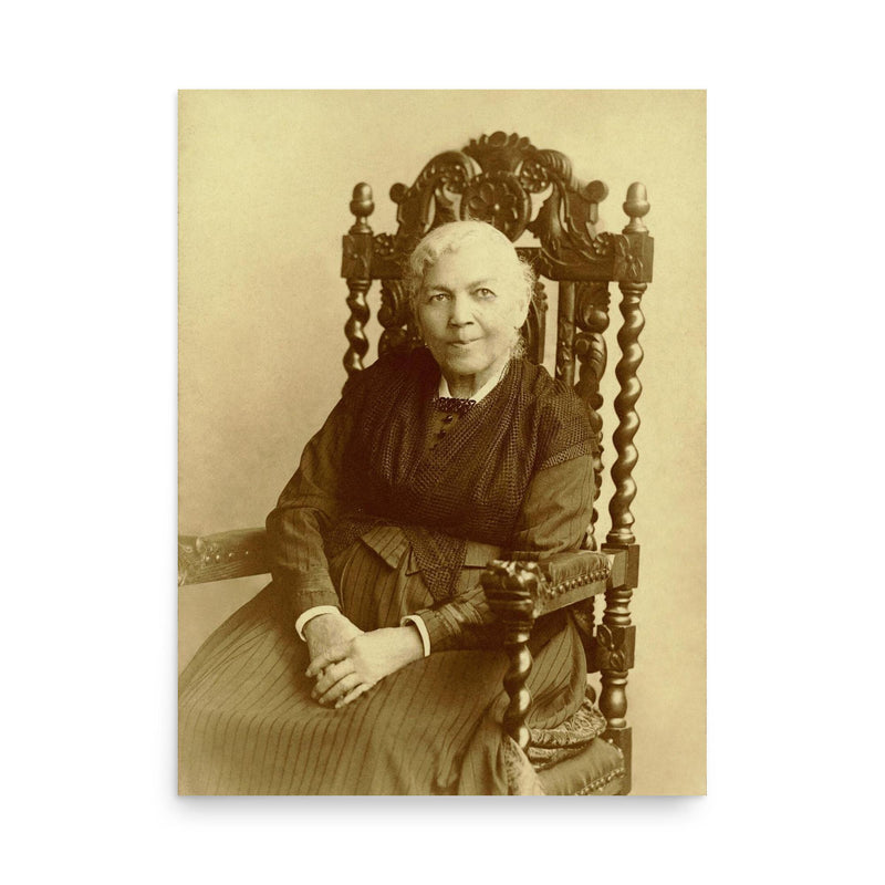 Harriet Jacobs poster on a plain backdrop in size 18