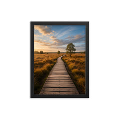 Hautes Fagnes High Fens Boardwalks Belgium framed print on a plain backdrop in size 12"x16".