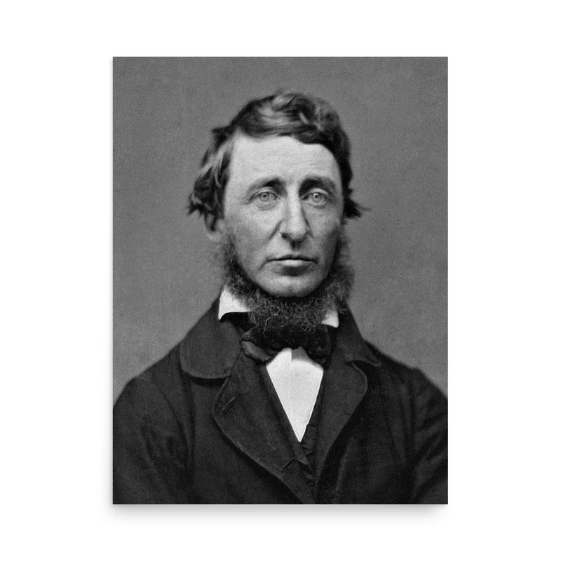 Henry David Thoreau poster on a plain backdrop in size 18