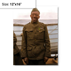 Henry Johnson metal print on a plain backdrop in size 12"x16".