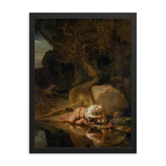 Hera by Carel Fabritius framed print on a plain backdrop in size 18"x24".