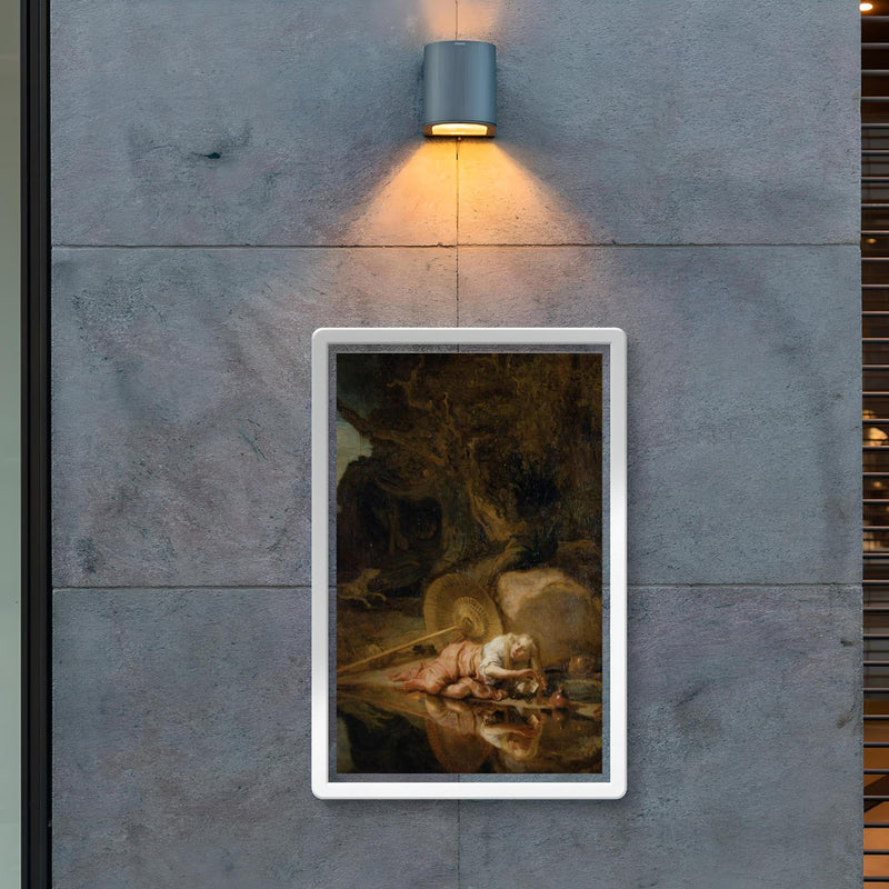 Hera by Carel Fabritius poster 2
