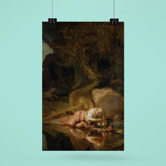 Hera by Carel Fabritius poster 6