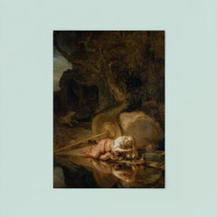 Hera by Carel Fabritius poster 8