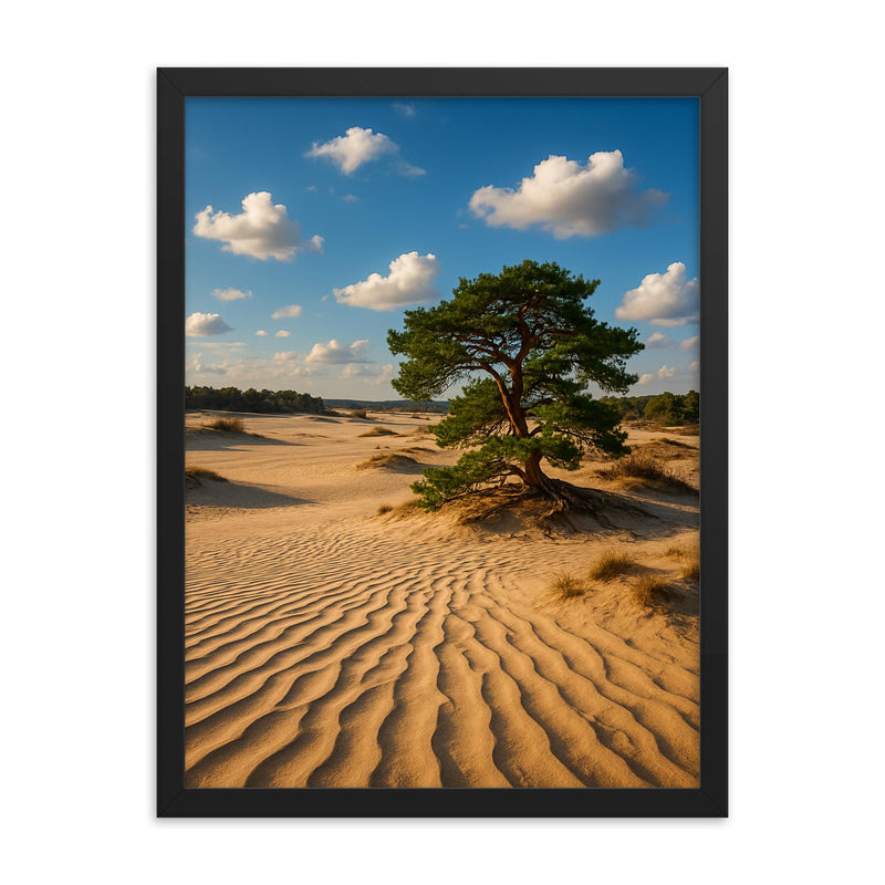 Hoge Veluwe Sand Drifts Netherlands framed print on a plain backdrop in size 18