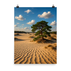 Hoge Veluwe Sand Drifts Netherlands poster on a plain backdrop in size 8"x10".