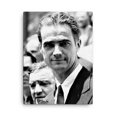 Howard Hughes canvas print on a plain backdrop in size 18"x24".