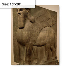 Human-headed winged lion (lamassu) metal print on a plain backdrop in size 16"x20".