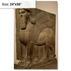 Human-headed winged lion (lamassu) metal print on a plain backdrop in size 24"x36".
