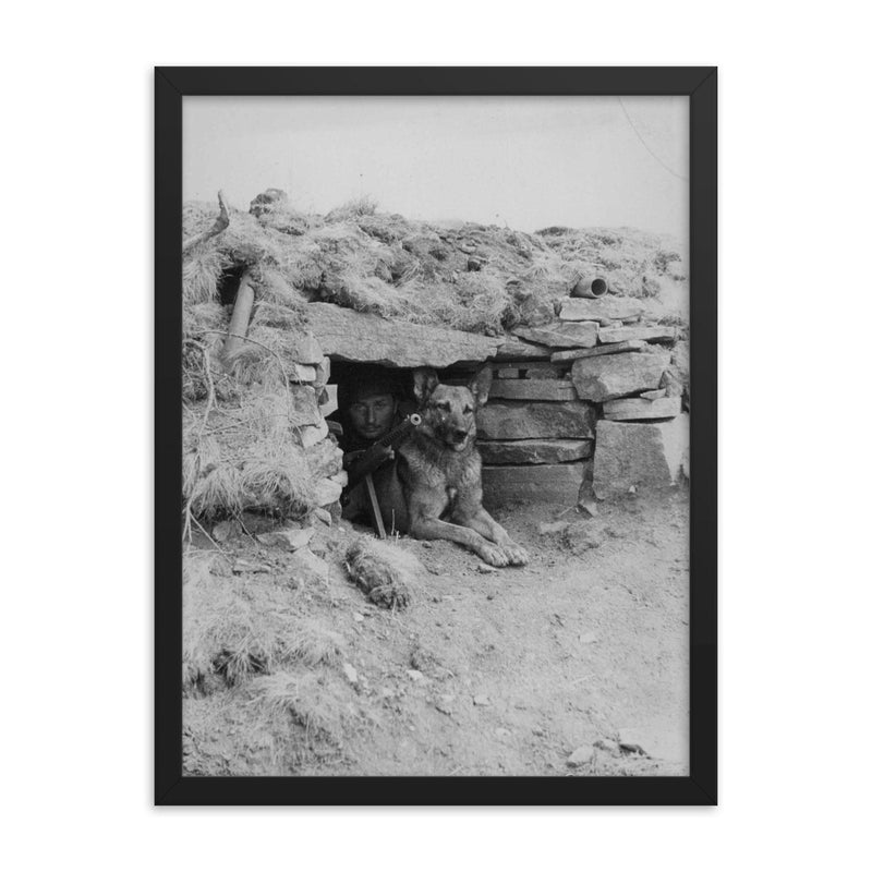 Italian Soldier with His Dog in a Ukrainian Outpost, 1942 framed print on a plain backdrop in size 18