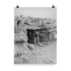 Italian Soldier with His Dog in a Ukrainian Outpost, 1942 poster on a plain backdrop in size 8"x10".