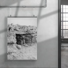 Italian Soldier with His Dog in a Ukrainian Outpost, 1942 poster 4