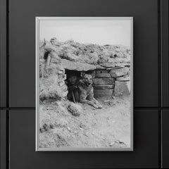 Italian Soldier with His Dog in a Ukrainian Outpost, 1942 poster 5