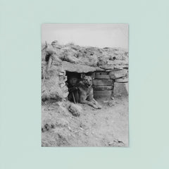 Italian Soldier with His Dog in a Ukrainian Outpost, 1942 poster 8