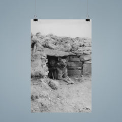 Italian Soldier with His Dog in a Ukrainian Outpost, 1942 poster 9