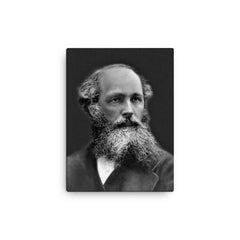 James Clerk Maxwell canvas print on a plain backdrop in size 12"x16".