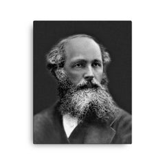 James Clerk Maxwell canvas print on a plain backdrop in size 16"x20".