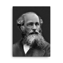 James Clerk Maxwell canvas print on a plain backdrop in size 18"x24".