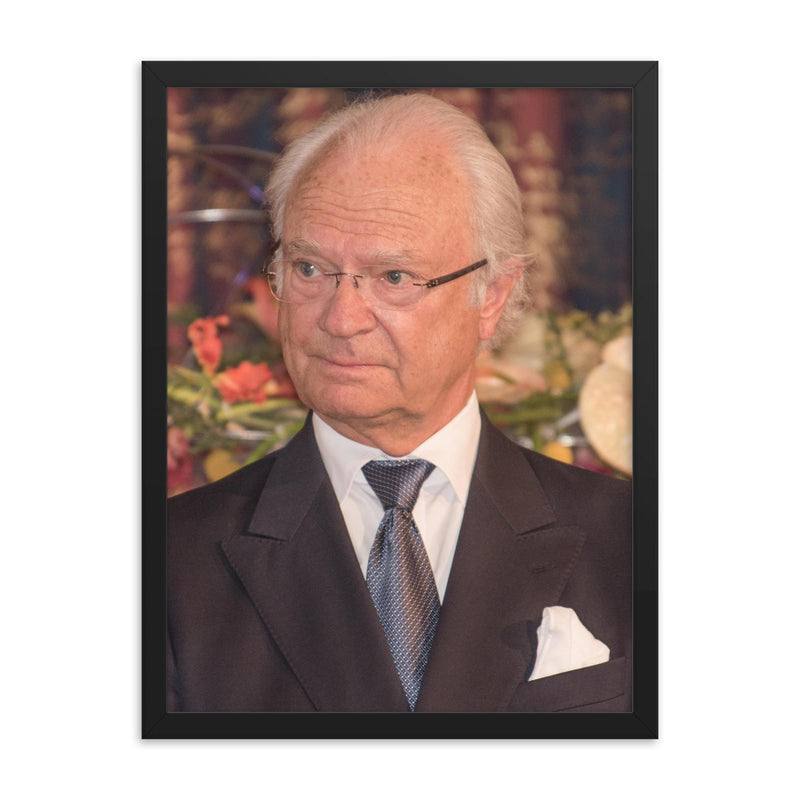 King Carl XVI Gustaf of Sweden framed print on a plain backdrop in size 18