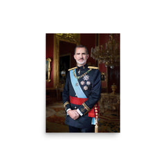 King Felipe VI of Spain poster on a plain backdrop in size 12"x16".