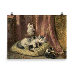 Kittens at Play by Henriette Ronner-Knip poster on a plain backdrop in size 8"x10".