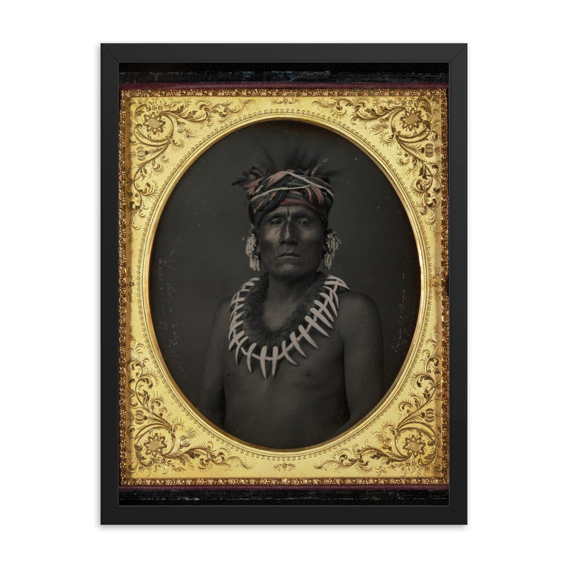 Kno-Shr, Kansas Chief by John H. Fitzgibbon, 1853 framed print on a plain backdrop in size 18