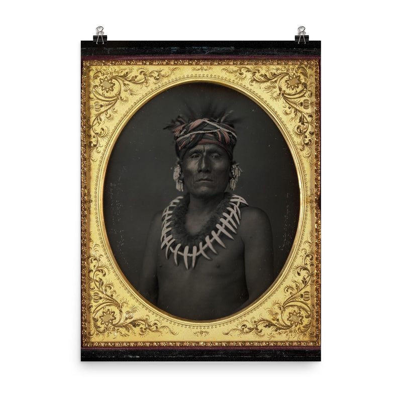 Kno-Shr, Kansas Chief by John H. Fitzgibbon, 1853 poster on a plain backdrop in size 8