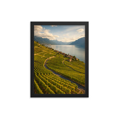 Lavaux Vineyard Terraces Switzerland framed print on a plain backdrop in size 12"x16".