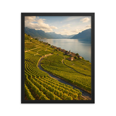 Lavaux Vineyard Terraces Switzerland framed print on a plain backdrop in size 16"x20".