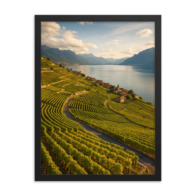 Lavaux Vineyard Terraces Switzerland framed print on a plain backdrop in size 18