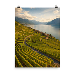 Lavaux Vineyard Terraces Switzerland poster on a plain backdrop in size 8"x10".