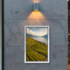 Lavaux Vineyard Terraces Switzerland poster 2
