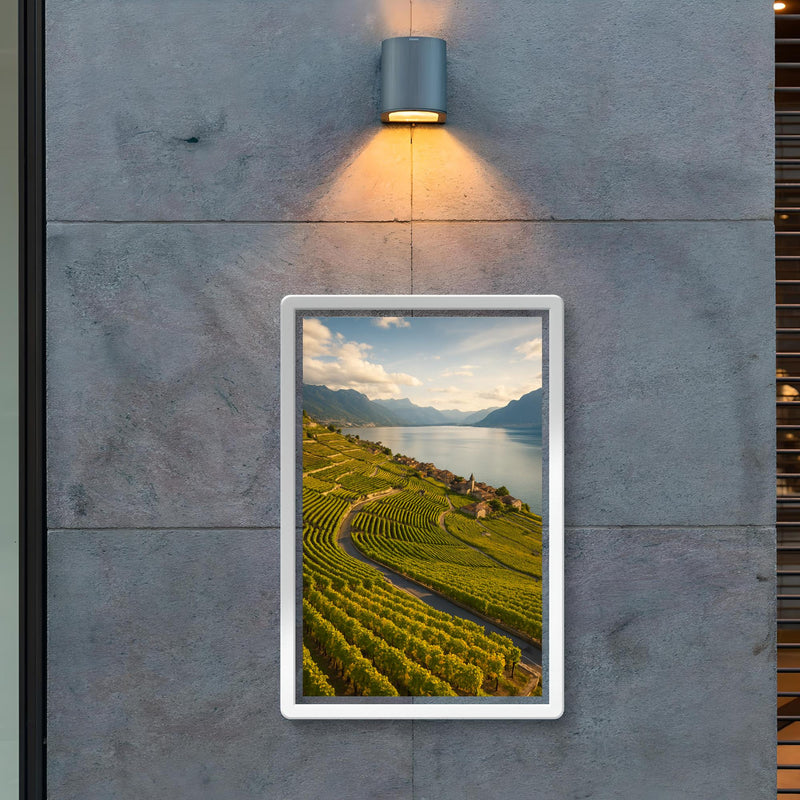 Lavaux Vineyard Terraces Switzerland poster 2