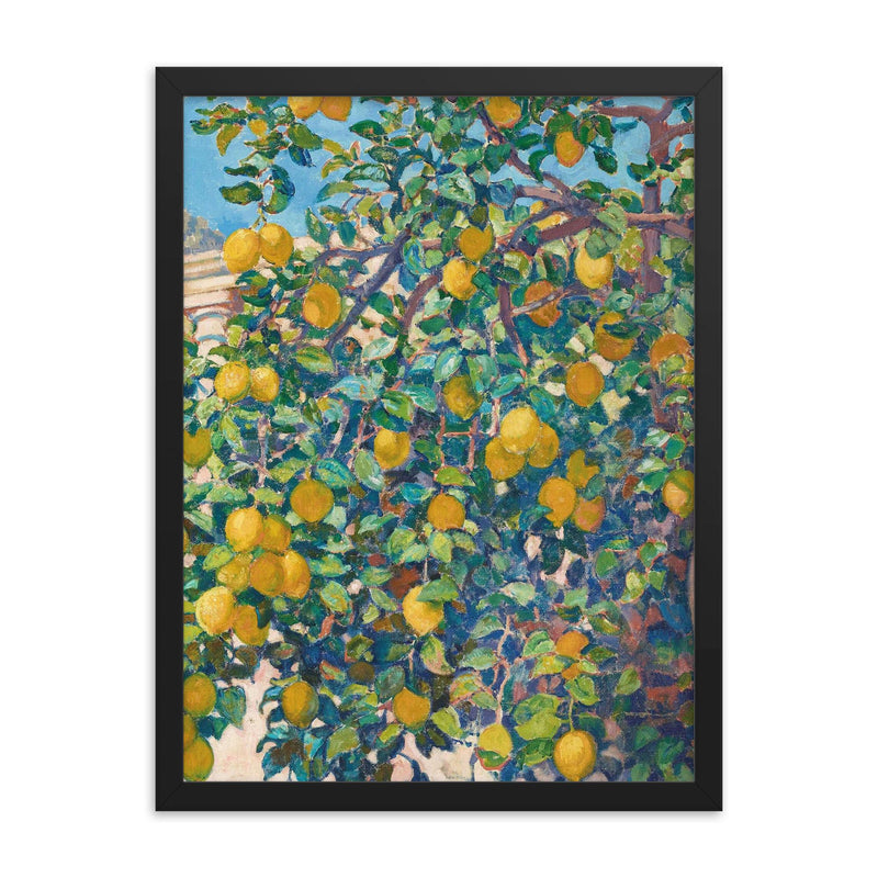 Lemon Trees in La Mortola, 1921 by Theo van Rysselberghe framed print on a plain backdrop in size 18