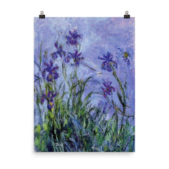 Lilac Irises by Claude Monet, 1917 poster on a plain backdrop in size 8"x10".