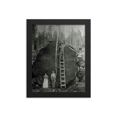 Logging Family with a 1300-Year-Old Tree, 1892 framed print on a plain backdrop in size 8"x10".