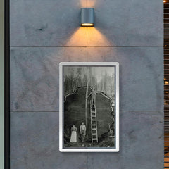 Logging Family with a 1300-Year-Old Tree, 1892 poster 2