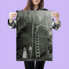 Logging Family with a 1300-Year-Old Tree, 1892 poster 3