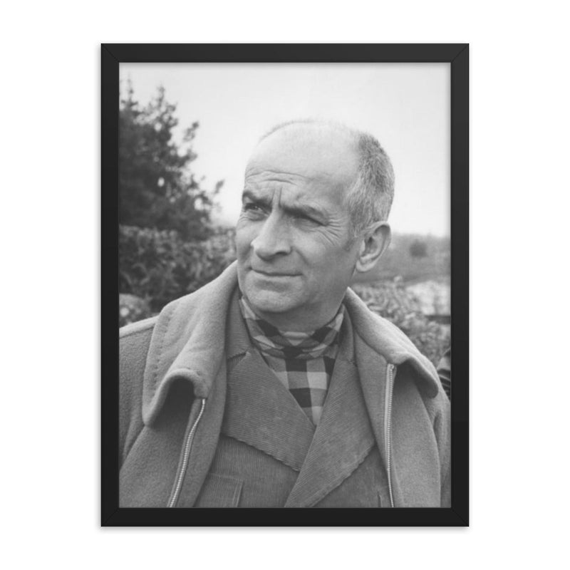 Louis de Funes framed print on a plain backdrop in size 18