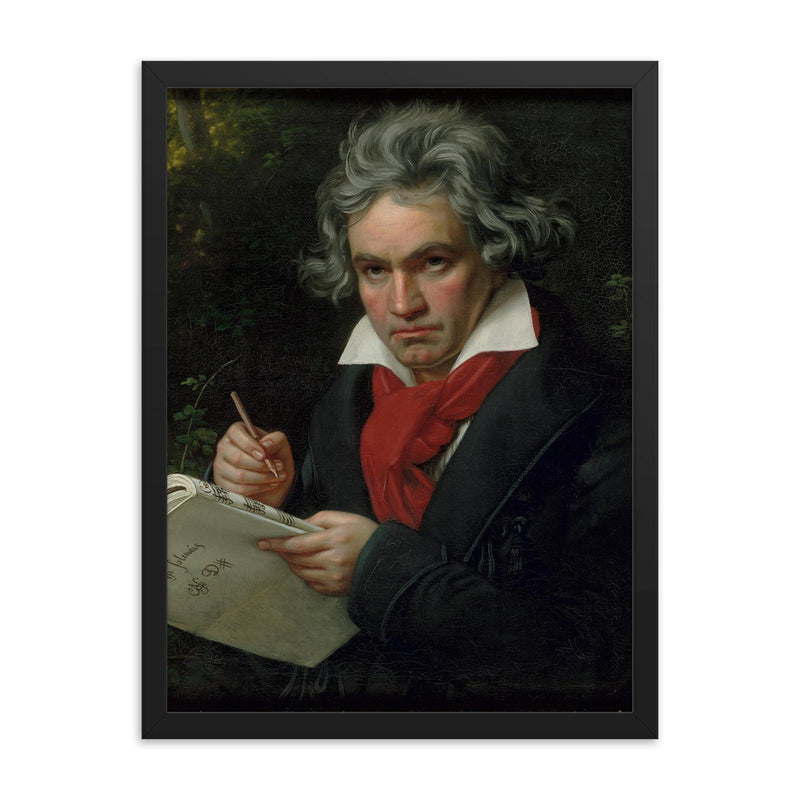 Ludwig van Beethoven framed print on a plain backdrop in size 18