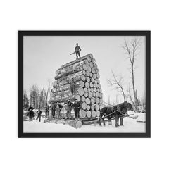 Lumberjacks at work - a team of lumberjacks posing with a giant load of logs they are moving with a sled, Michigan, 1890 framed print on a plain backdrop in size 16"x20".