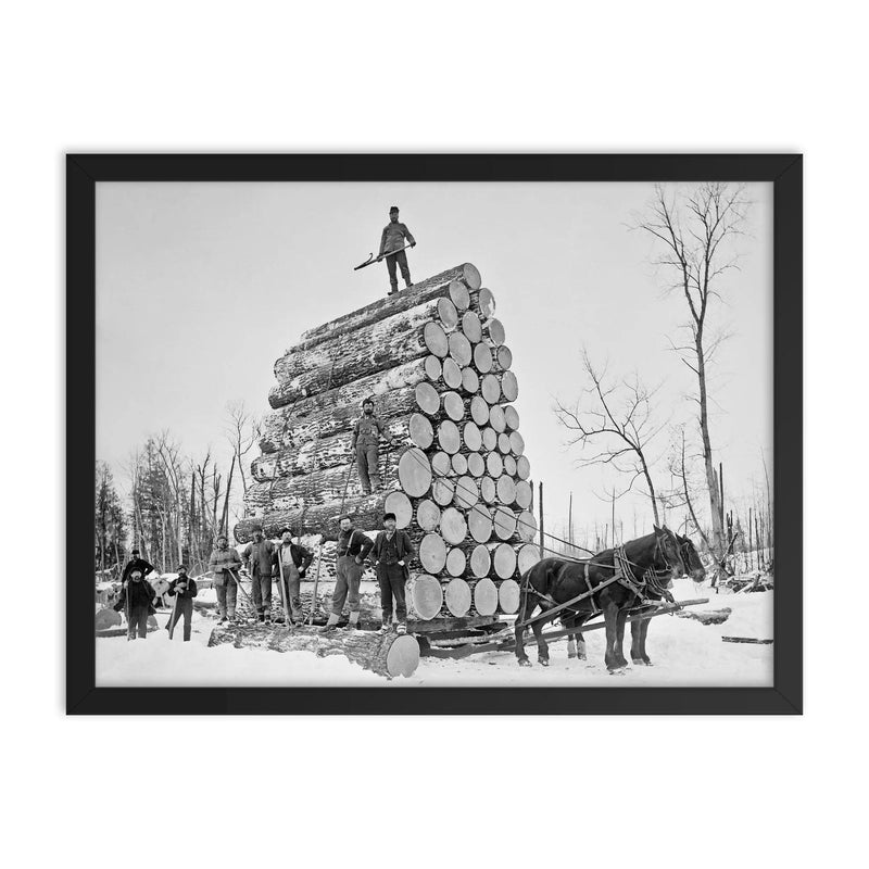 Lumberjacks at work - a team of lumberjacks posing with a giant load of logs they are moving with a sled, Michigan, 1890 framed print on a plain backdrop in size 18