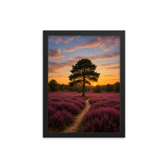 Luneburg Heath Heide Bloom Germany framed print on a plain backdrop in size 12"x16".