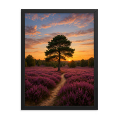 Luneburg Heath Heide Bloom Germany framed print on a plain backdrop in size 18"x24".