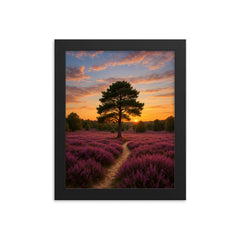 Luneburg Heath Heide Bloom Germany framed print on a plain backdrop in size 8"x10".