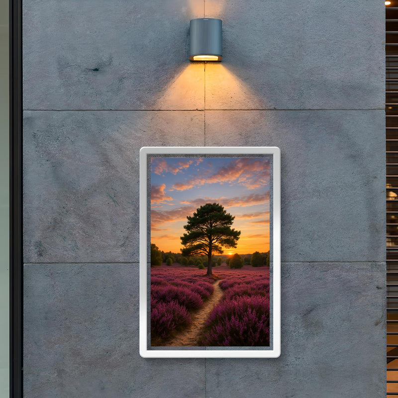 Luneburg Heath Heide Bloom Germany poster 2