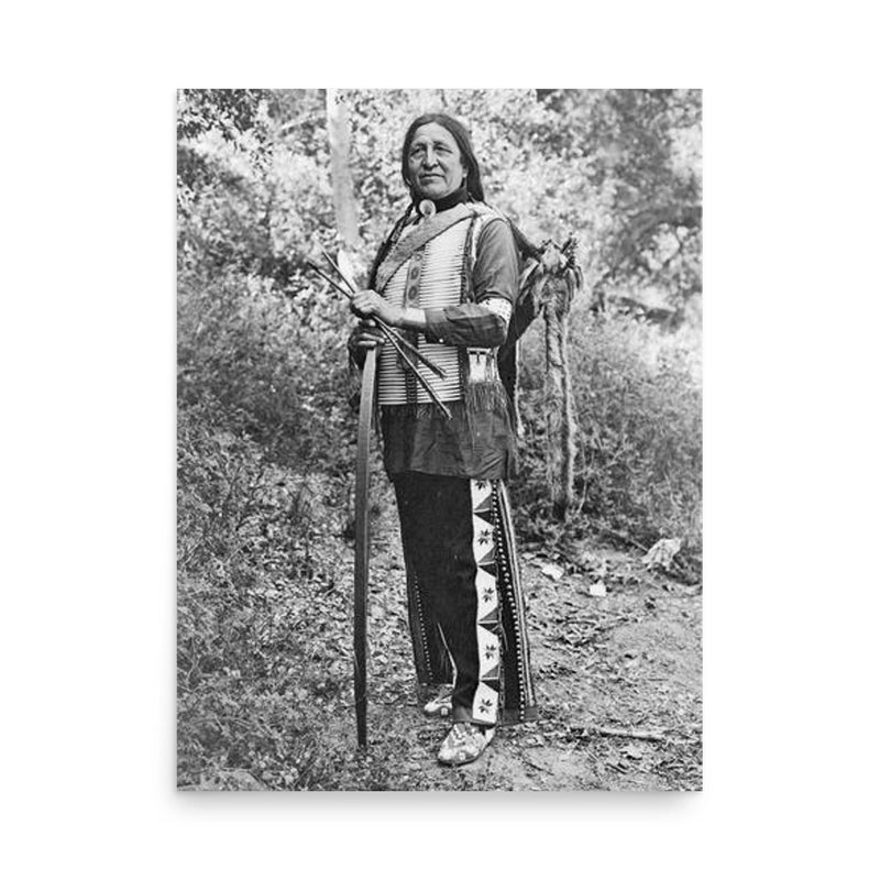 Luther Standing Bear poster on a plain backdrop in size 18