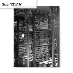 Man Browsing for Books in the Old Public Library of Cincinnati metal print on a plain backdrop in size 12"x16".