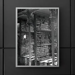 Man Browsing for Books in the Old Public Library of Cincinnati poster 5