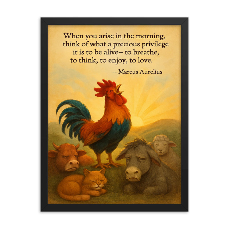 marcus aurelius morning privilege quote rooste framed print on a plain backdrop in size 18